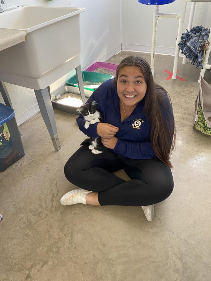 Senior+Leticia+Caudillo+holds+a+cat+thats+at+the+Happy+Tails+Shelter.+Caudillo+is+a+current+student+in+the+internship+class+and+chose+Happy+Tails+as+her+internship+location.