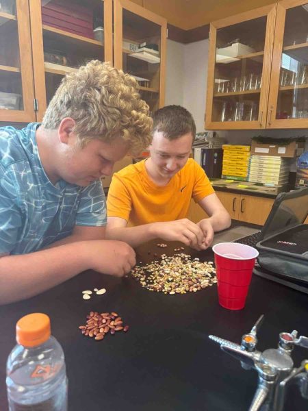 Senior Martin Fischer and junior Atticus Peden count beans in AP Environmental Science. AP Environmental Science is a new course to S.H.S. this year.