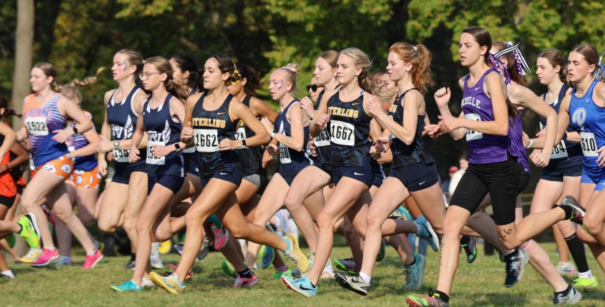 Cross Country fairs well In postseason