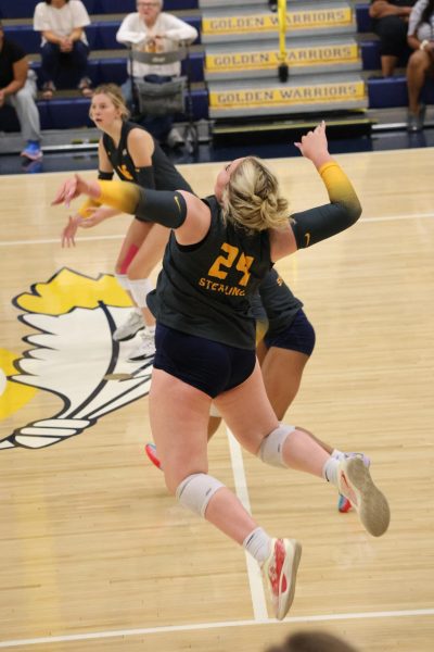 Volleyball ends season at Dixon against Morris