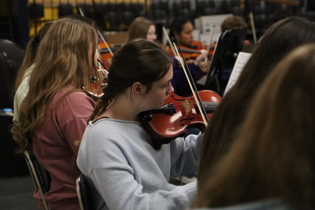 Music department hosts final concert